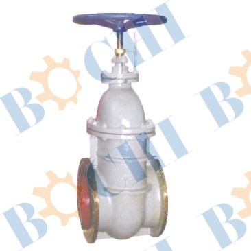 Iron Gate Valve