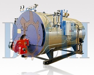 Oil / Gas Hot water Boiler