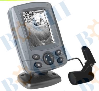 Marine Sonar Fish Fish