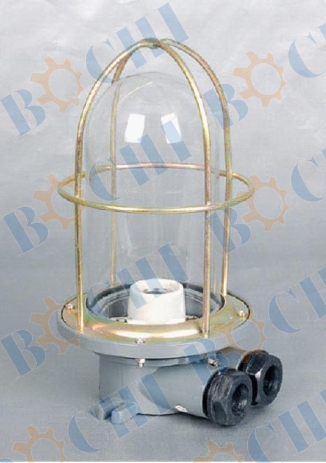 Marine Ceiling Light BMMEELSCL-03