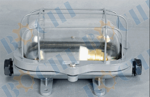 Marine Incandescent Ceiling Light BMMEELSCL-02