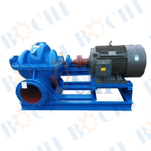 Double entry pump