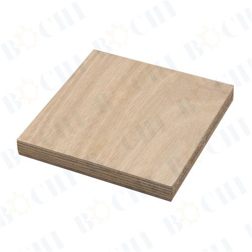 Eucalyptus Moisture-proof Water-proof Panel OKOUME Ocean Board with 600 Density